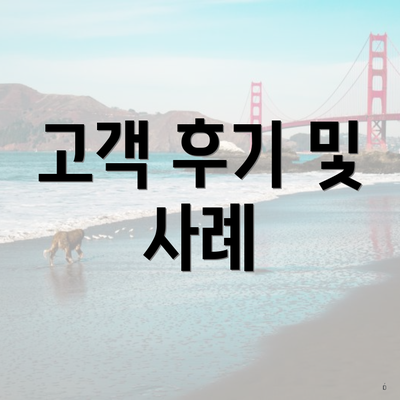 고객 후기 및 사례