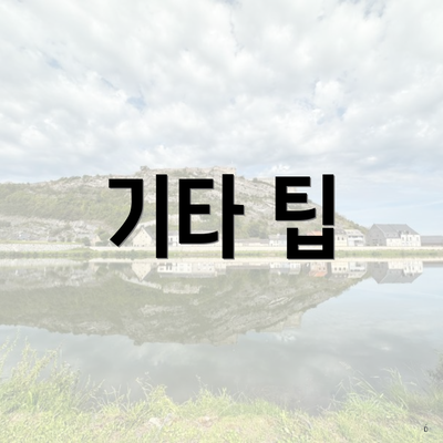기타 팁