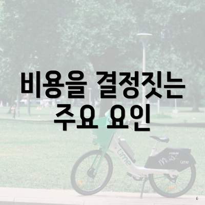 비용을 결정짓는 주요 요인