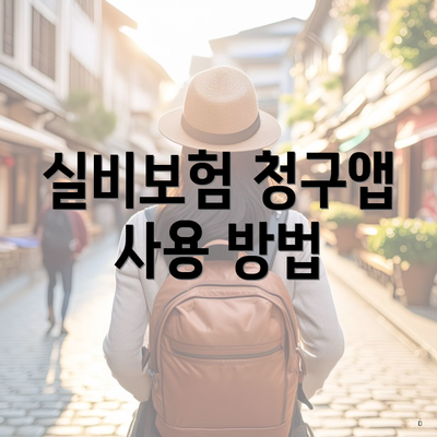 실비보험 청구앱 사용 방법