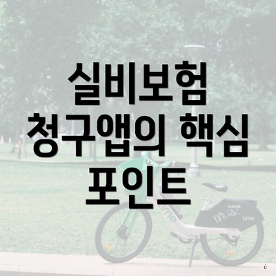 실비보험 청구앱의 핵심 포인트