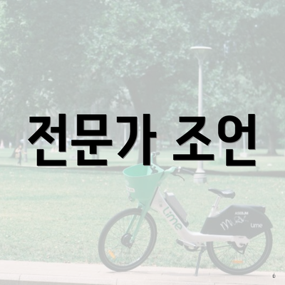 전문가 조언