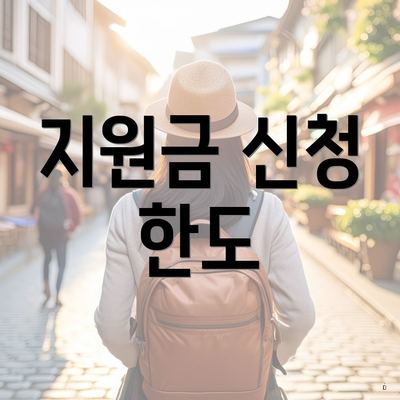 지원금 신청 한도