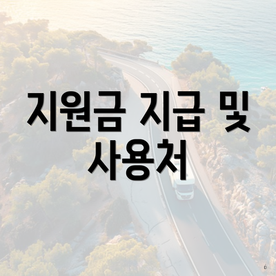 지원금 지급 및 사용처
