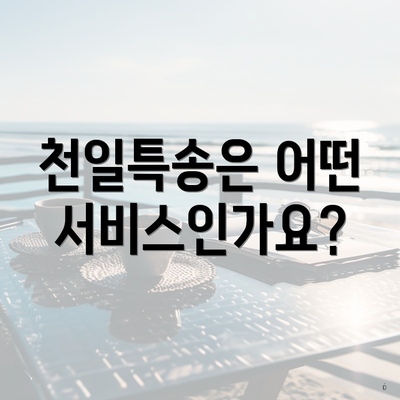 천일특송은 어떤 서비스인가요?