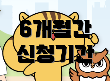 6개월간 신청기간