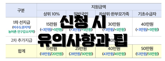 신청 시 유의사항과 팁