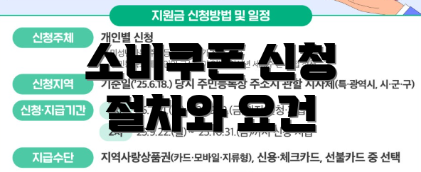 소비쿠폰 신청 절차와 요건