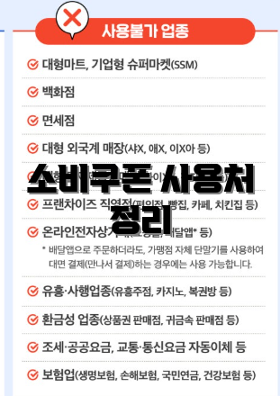 소비쿠폰 사용처 정리