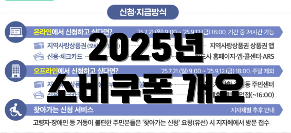 2025년 소비쿠폰 개요