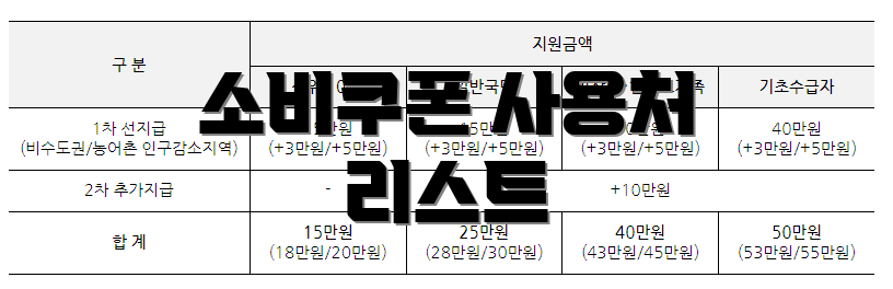 소비쿠폰 사용처 리스트