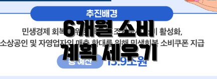 6개월 소비 계획 세우기