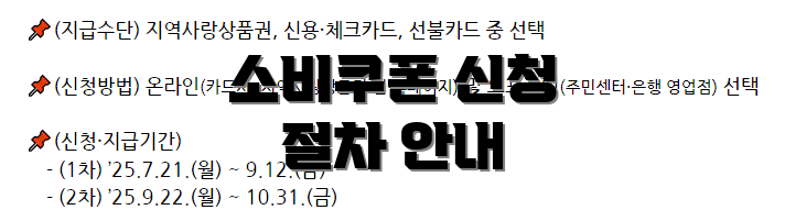 소비쿠폰 신청 절차 안내