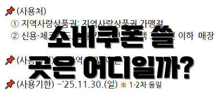 소비쿠폰 쓸 곳은 어디일까?