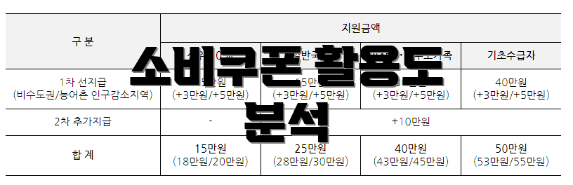 소비쿠폰 활용도 분석