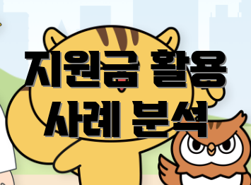 지원금 활용 사례 분석