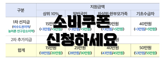 소비쿠폰 신청하세요