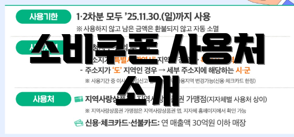 소비쿠폰 사용처 소개