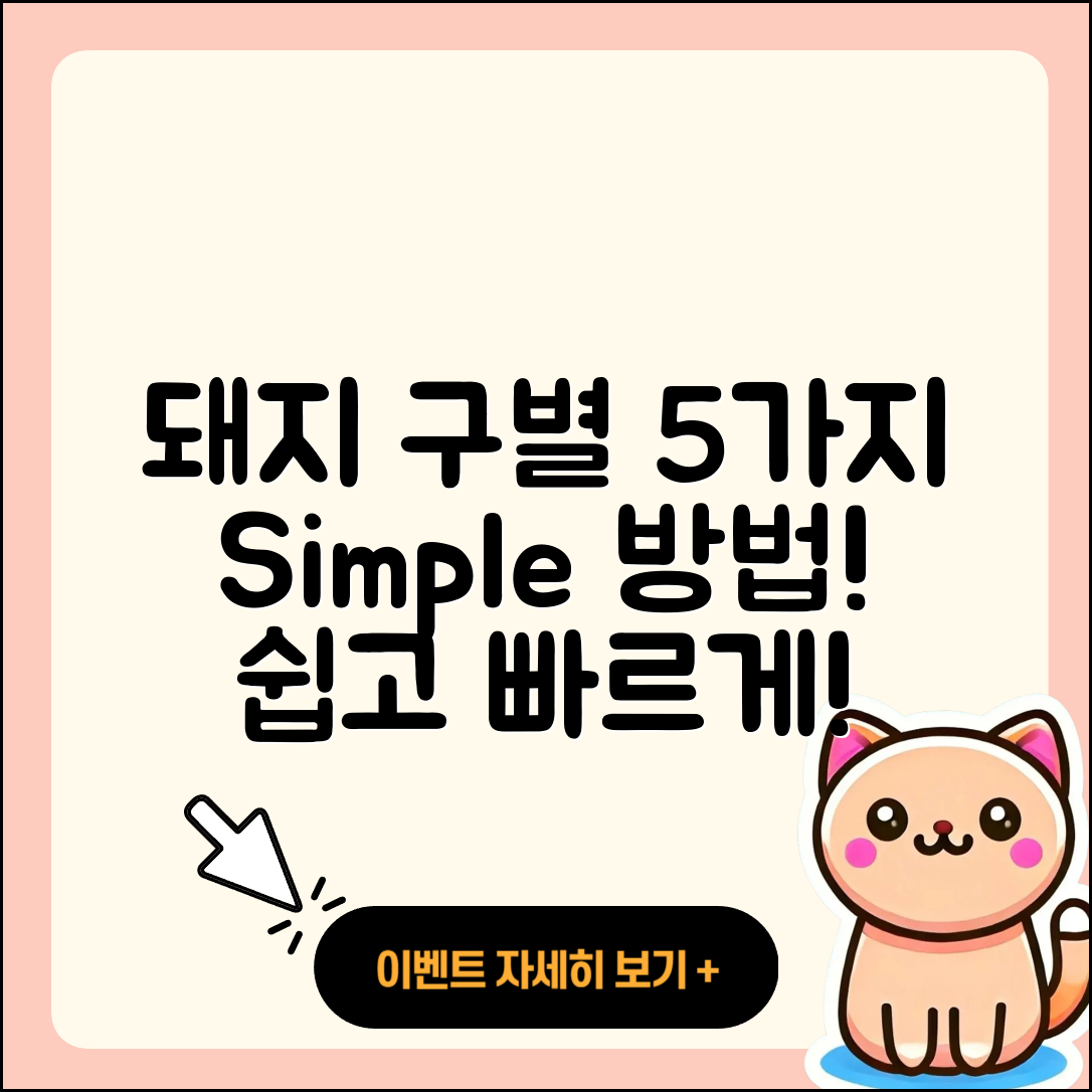 되지 돼지 구분의 5가지 간단한 방법